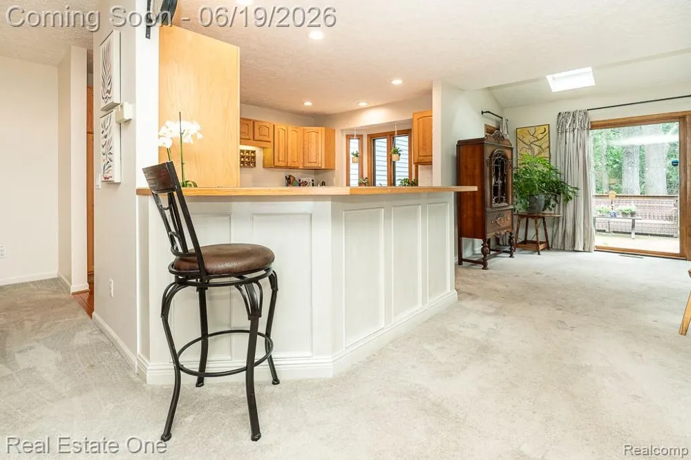 6595 Scenic Pines Court Independence Charter Township, MI 48346