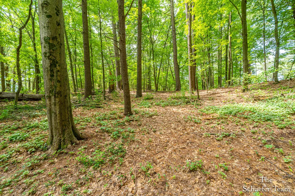 10870 Simpson W Oakfield Township, MI 48838