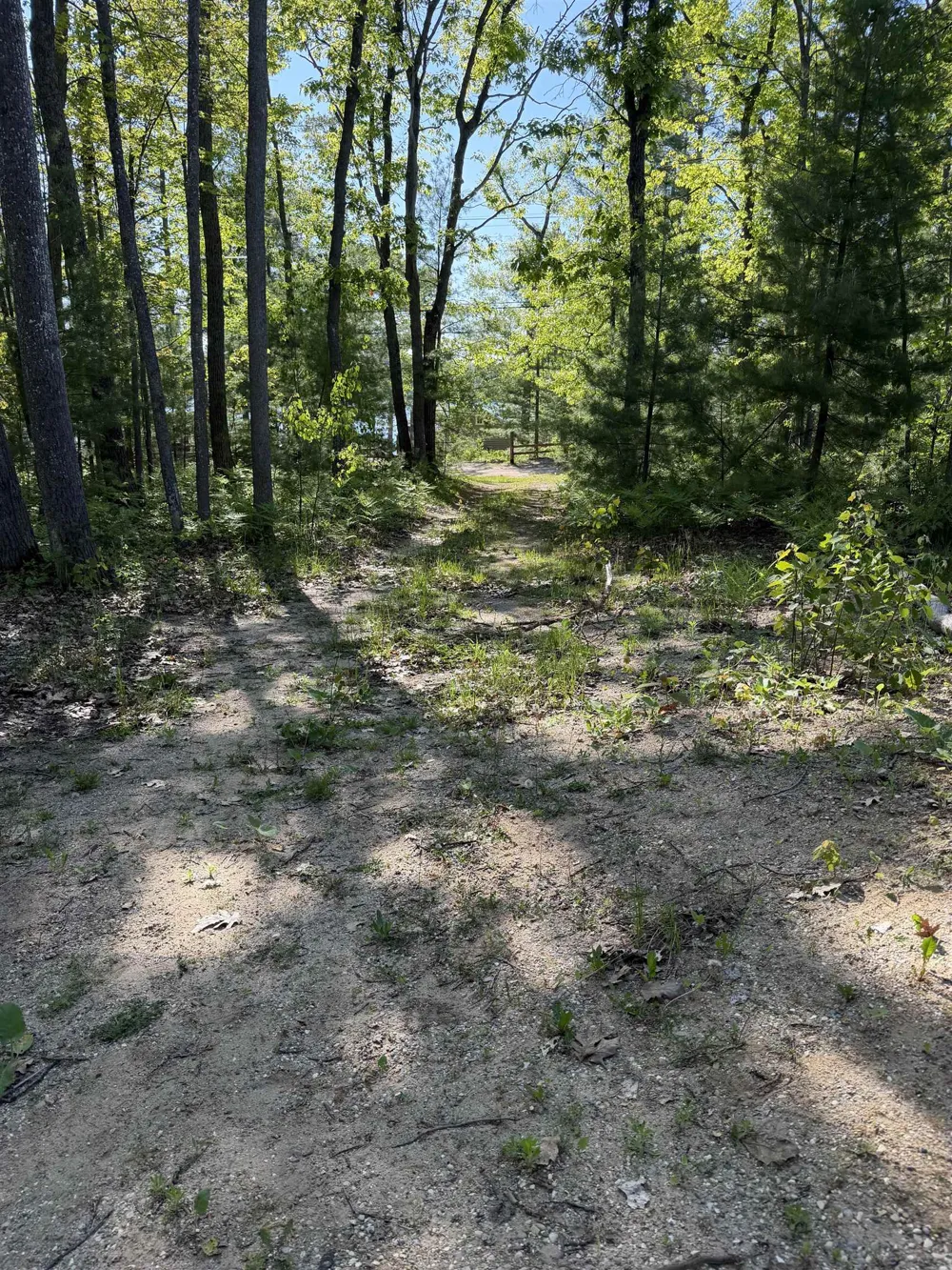 6743 Beach Road Charlton Township, MI 49751