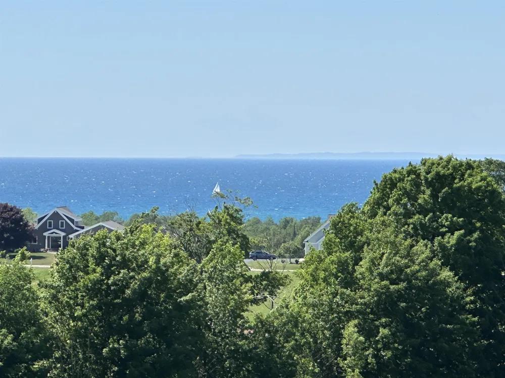 12 Foxview Drive Norwood Township, MI 49720