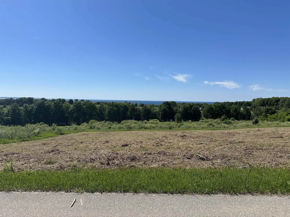 12 Foxview Drive Norwood Township, MI 49720