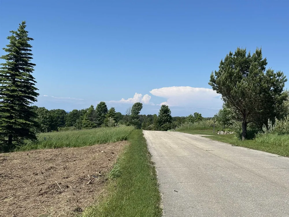 12 Foxview Drive Norwood Township, MI 49720