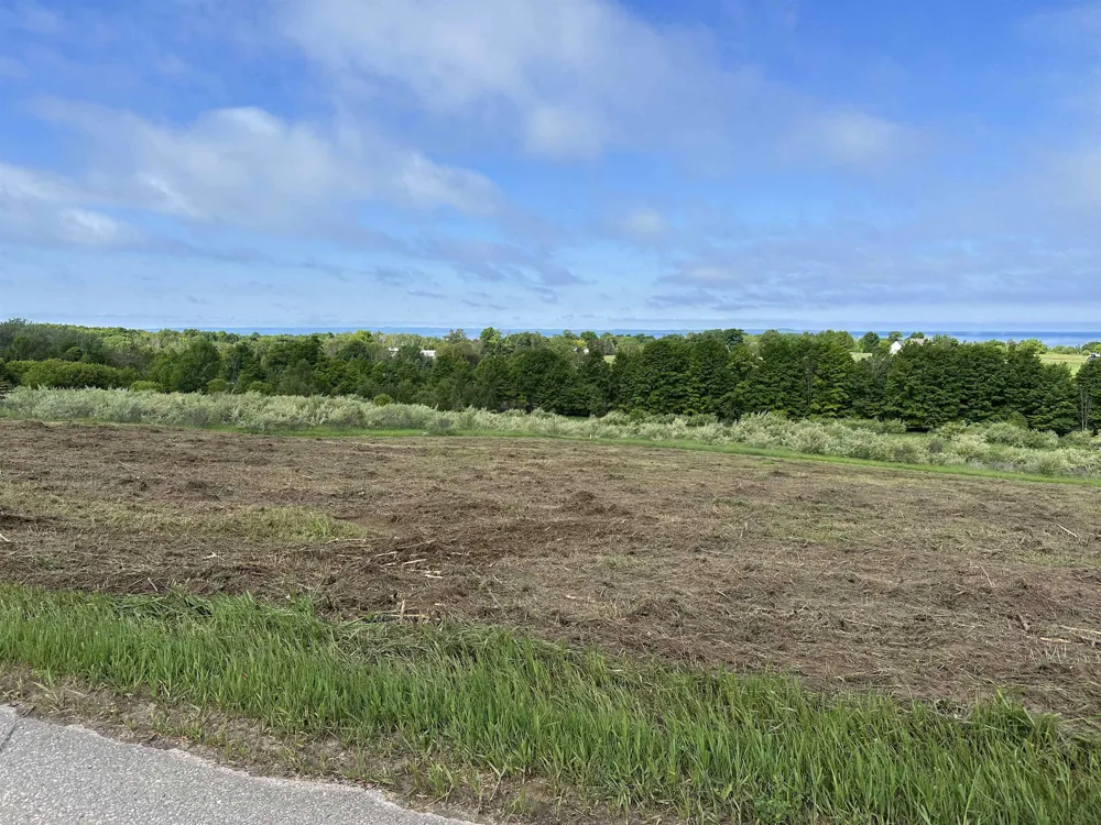 12 Foxview Drive Norwood Township, MI 49720