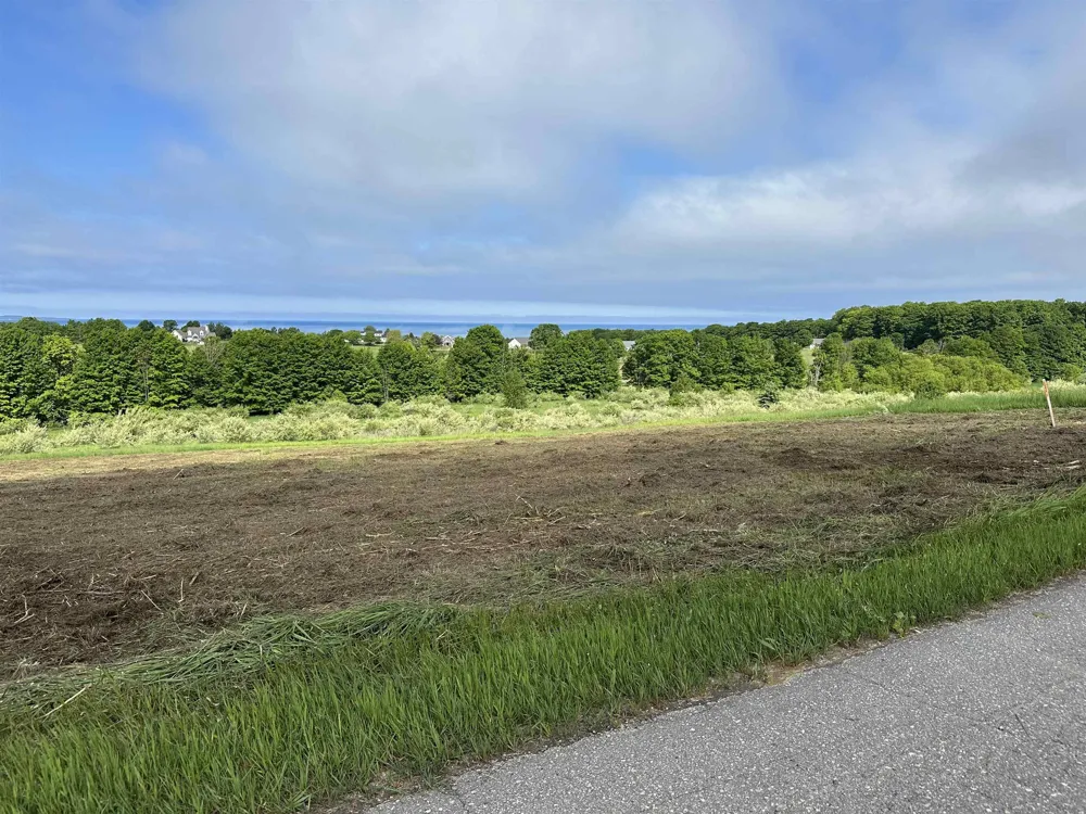 12 Foxview Drive Norwood Township, MI 49720