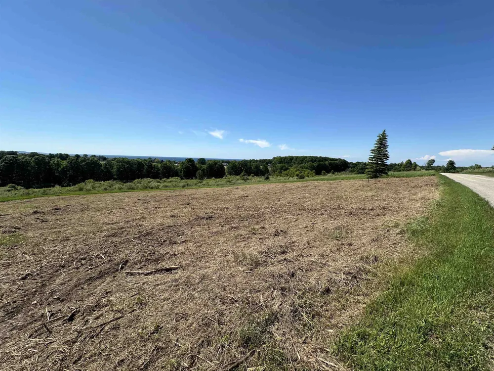 12 Foxview Drive Norwood Township, MI 49720