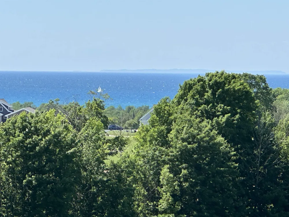 12 Foxview Drive Norwood Township, MI 49720
