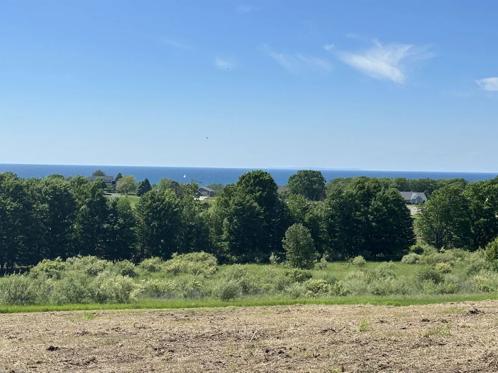 12 Foxview Drive Norwood Township, MI 49720