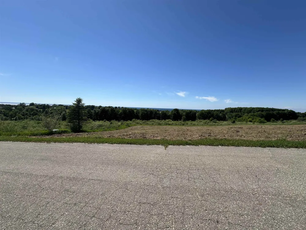 12 Foxview Drive Norwood Township, MI 49720