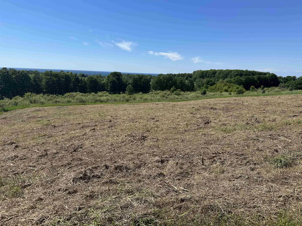 12 Foxview Drive Norwood Township, MI 49720