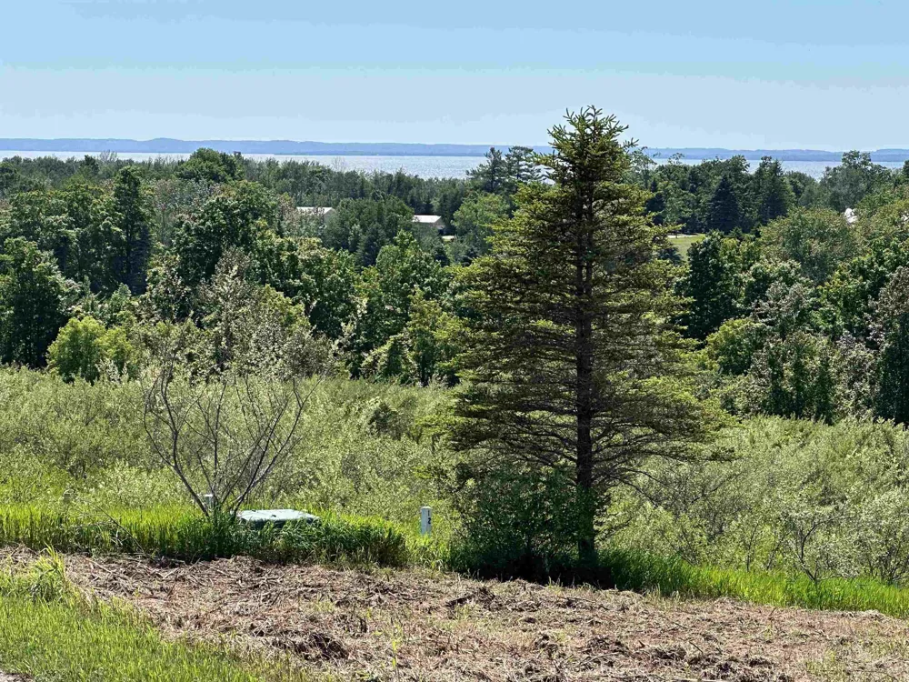 12 Foxview Drive Norwood Township, MI 49720