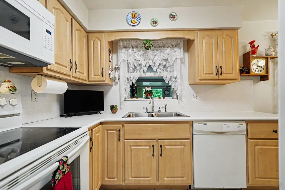 362 E Washington Street Berrien Springs Village, MI 49103