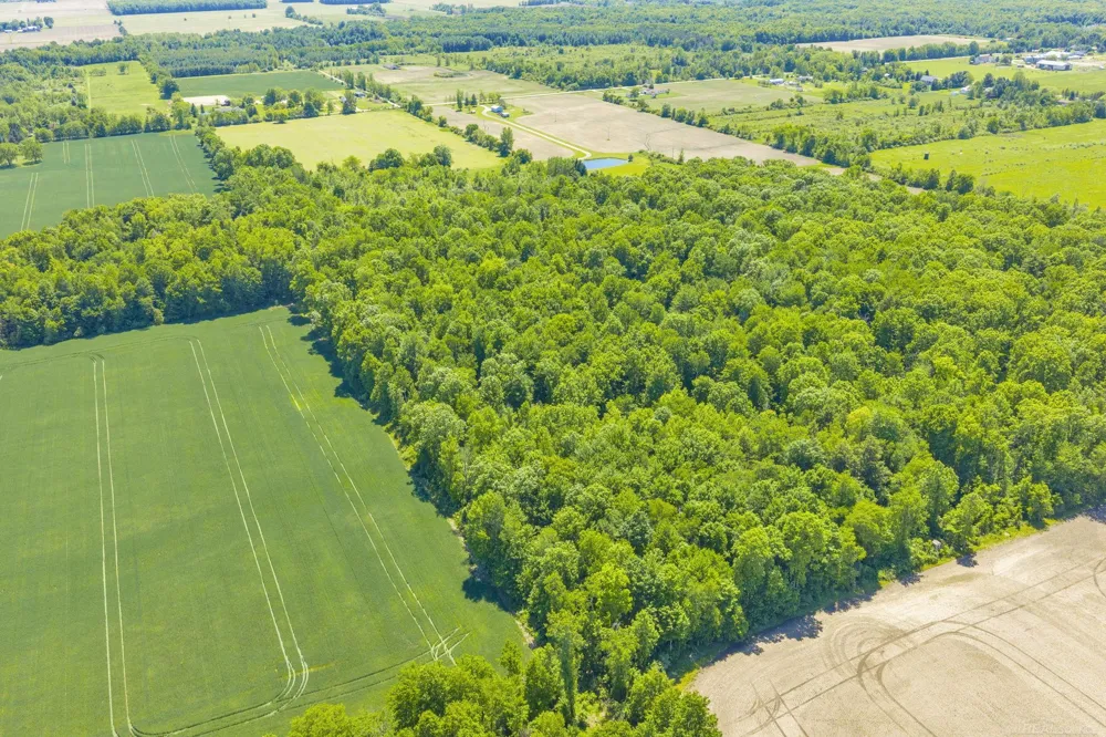 Wellman Line Road Worth Township, MI 48422