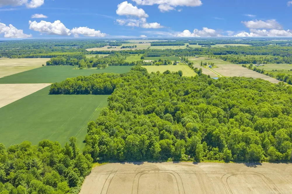 Wellman Line Road Worth Township, MI 48422