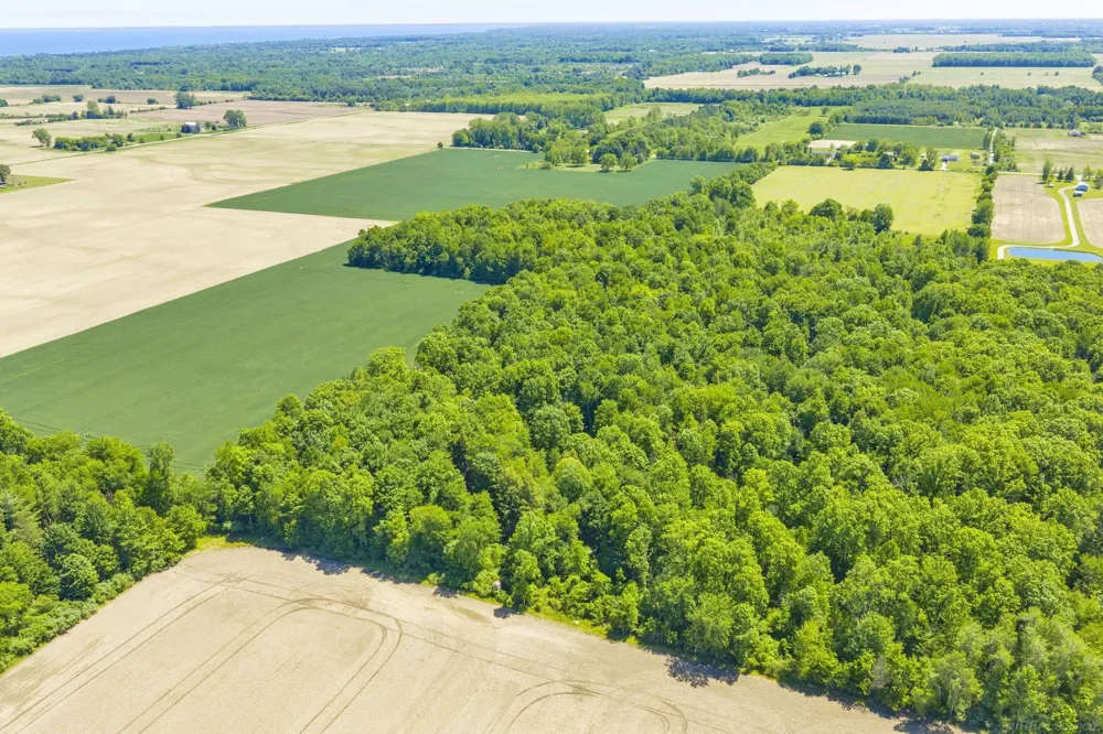 Wellman Line Road Worth Township, MI 48422