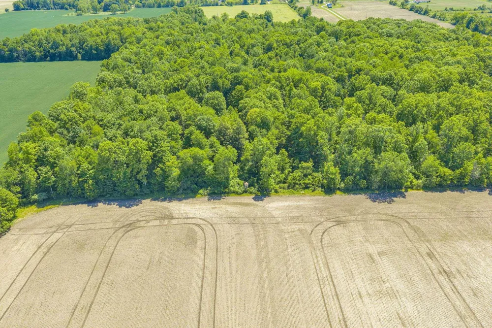 Wellman Line Road Worth Township, MI 48422