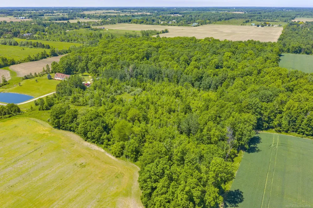 Wellman Line Road Worth Township, MI 48422