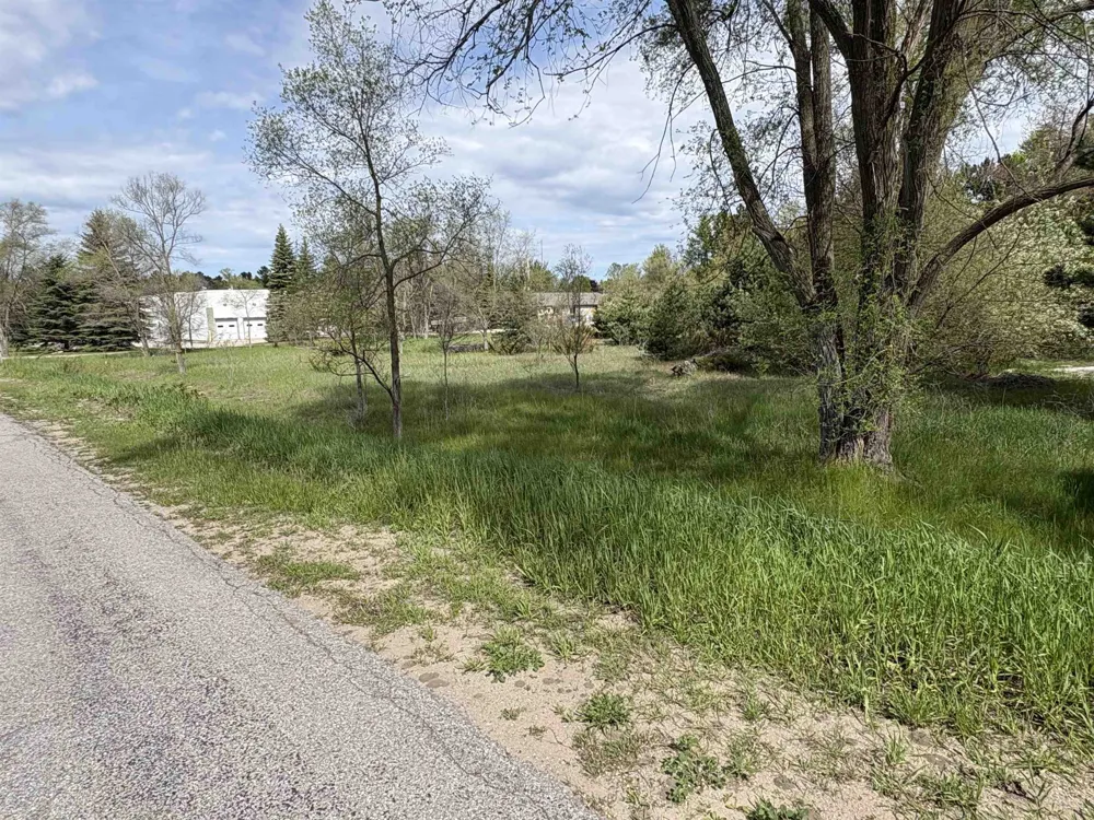 Gilbert Avenue Acme Township, MI 49690