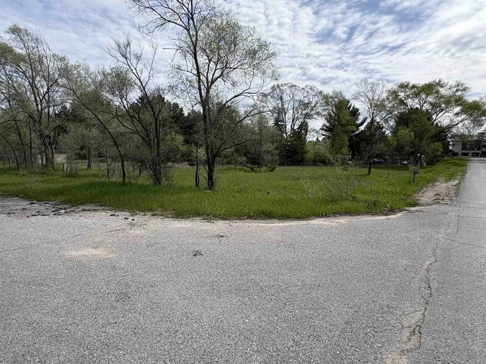 Gilbert Avenue Acme Township, MI 49690