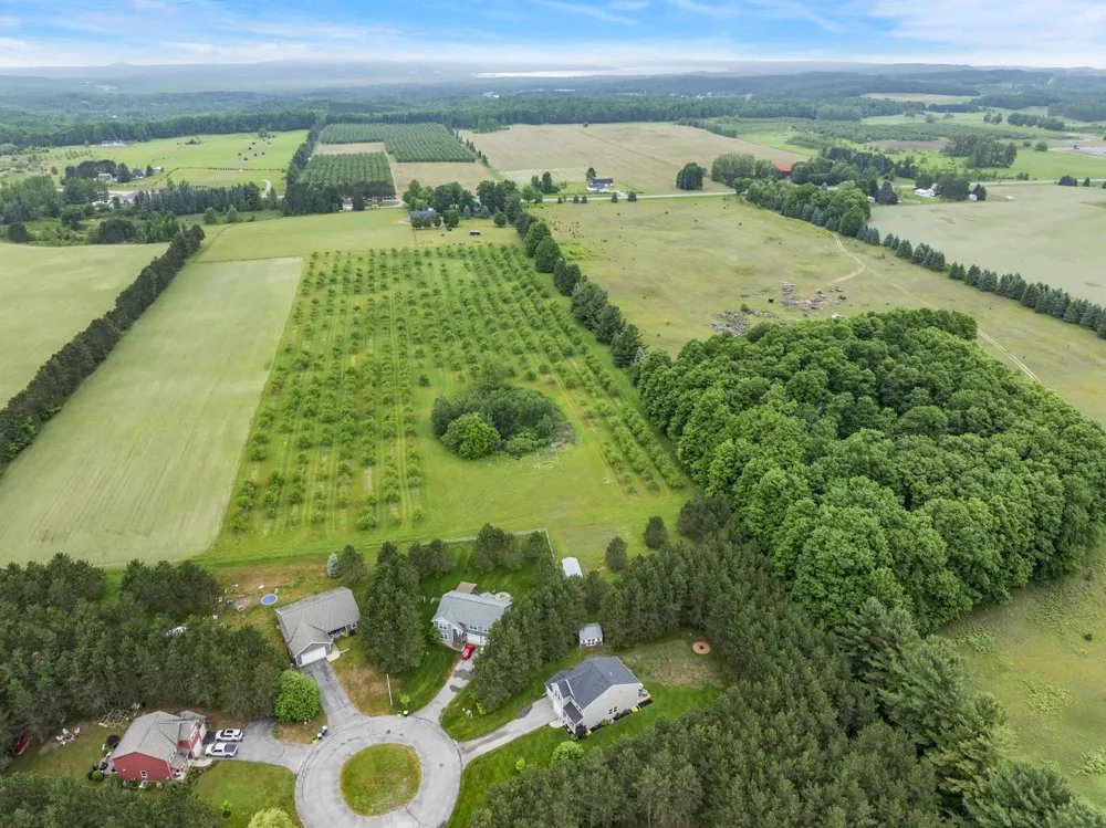 9643 Pattys Lane Long Lake Township, MI 49684