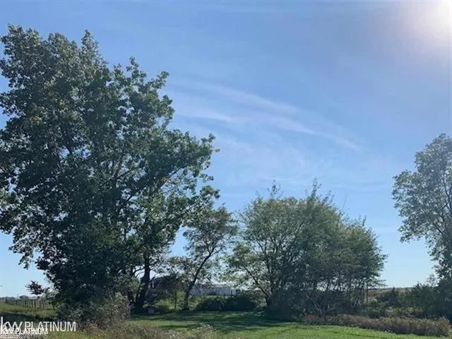 Cade Road Burnside Township, MI 48416