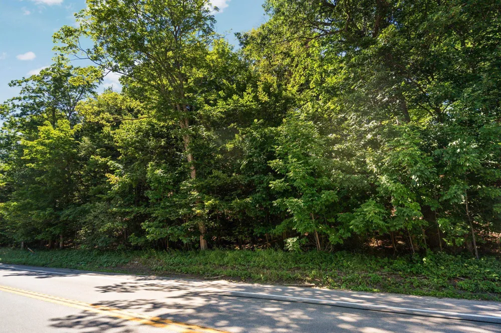 Center Road Peninsula Township, MI 49686