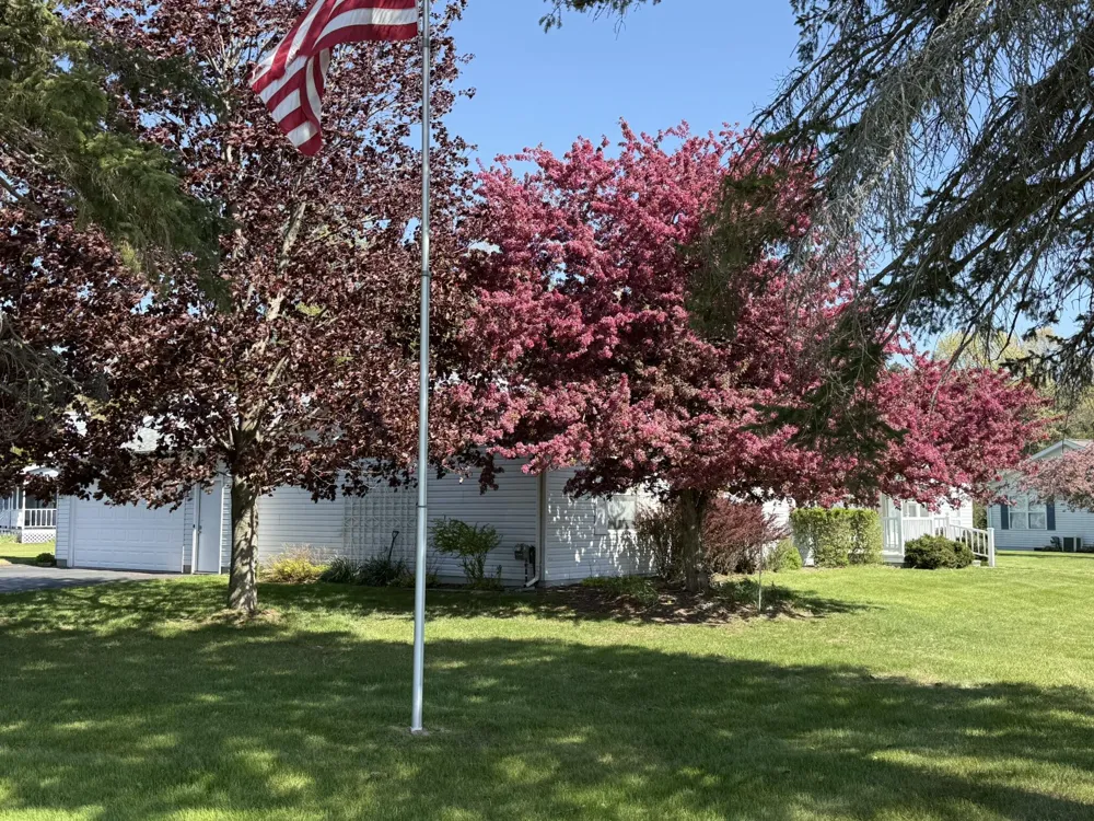 10215 E Royal Morton Township, MI 49346
