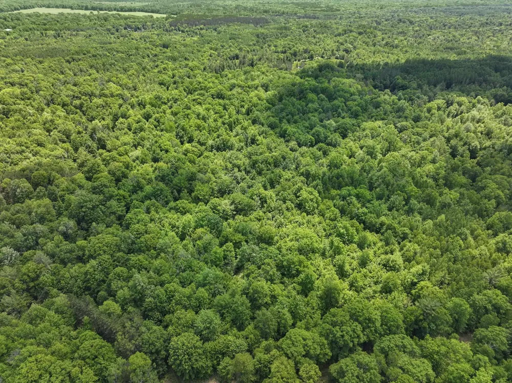 Seeley Road Lake Township, MI 49651
