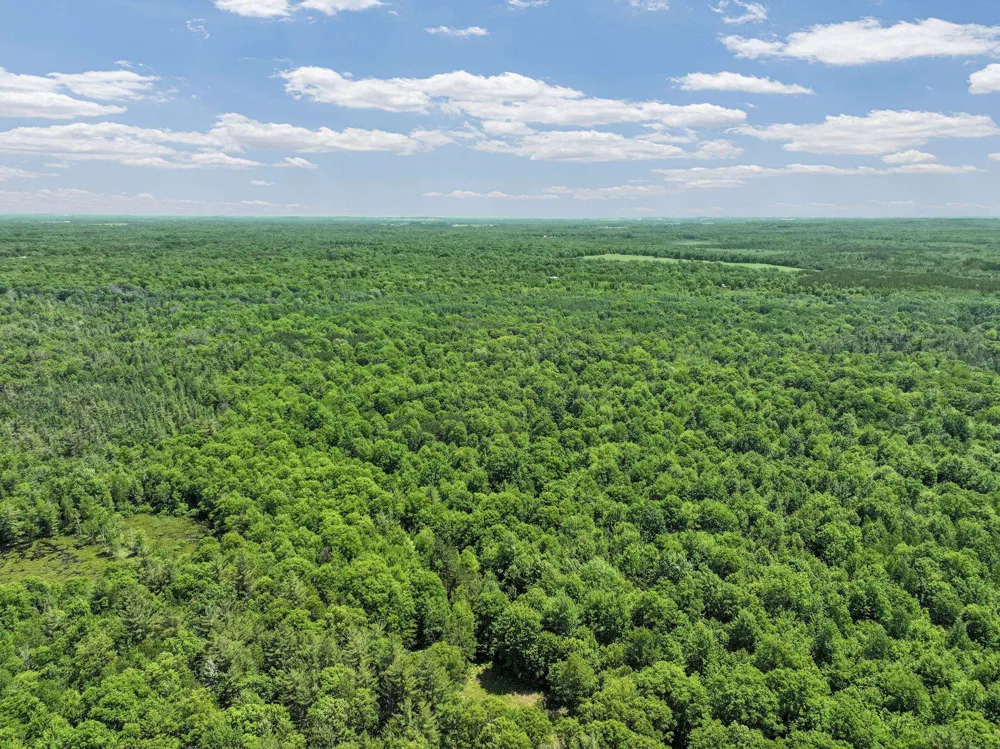 Seeley Road Lake Township, MI 49651