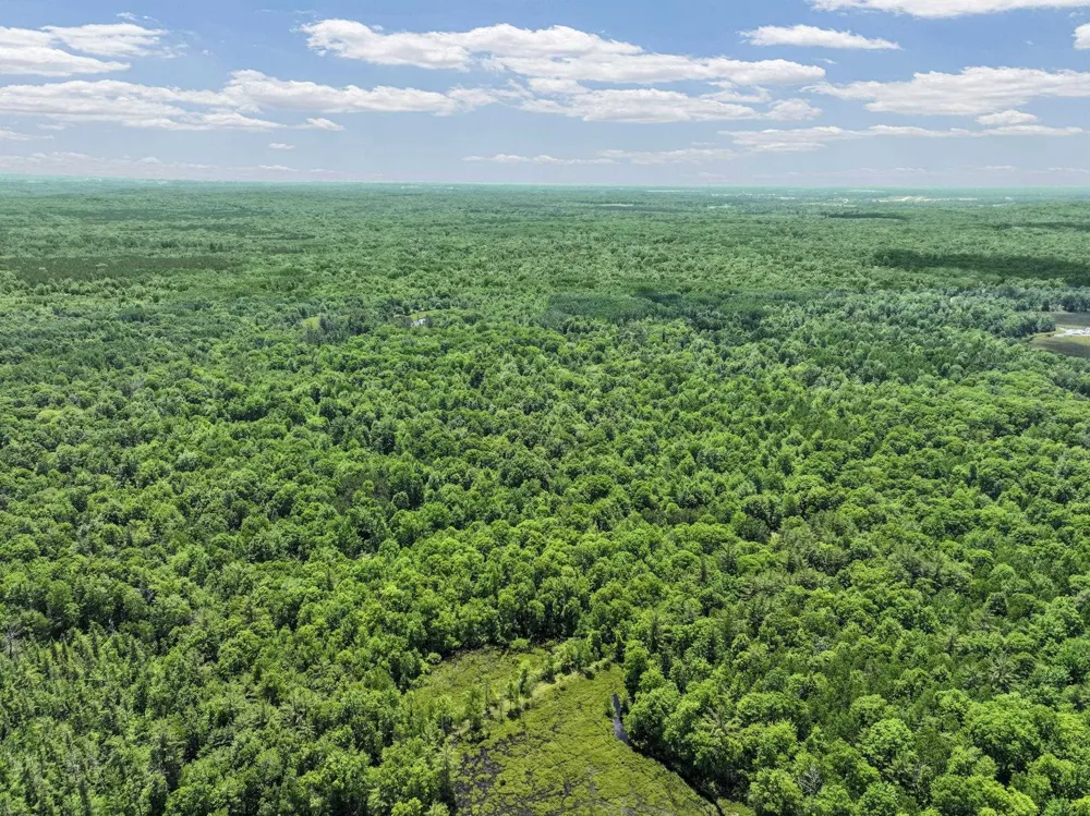 Seeley Road Lake Township, MI 49651