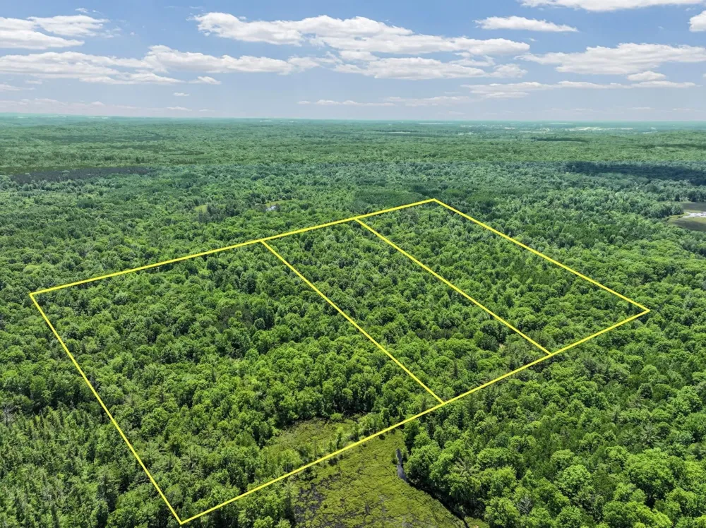 Seeley Road Lake Township, MI 49651