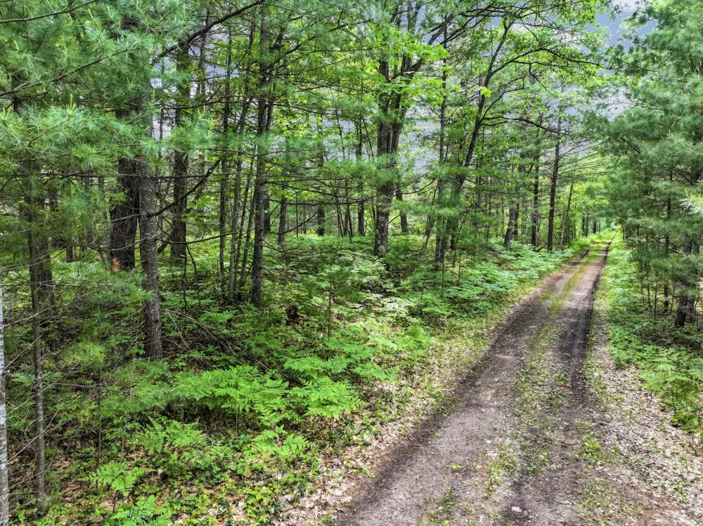Seeley Road Lake Township, MI 49651