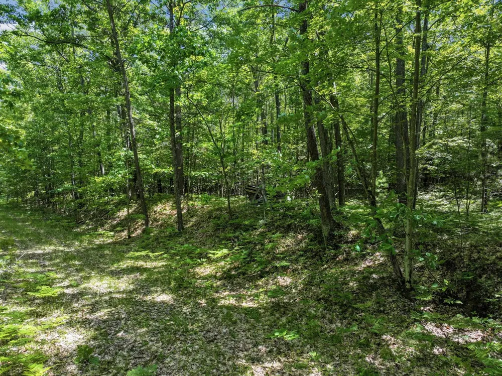 Seeley Road Lake Township, MI 49651