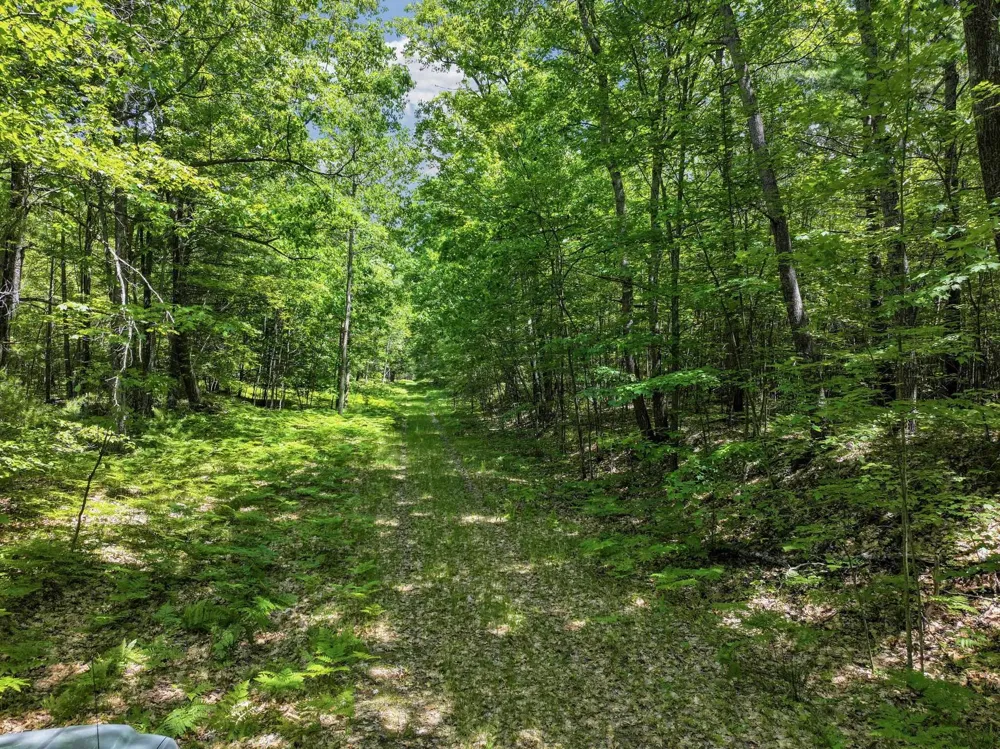 Seeley Road Lake Township, MI 49651