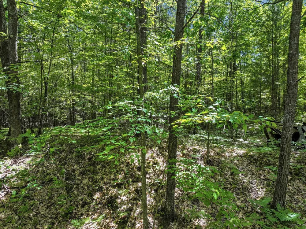 Seeley Road Lake Township, MI 49651