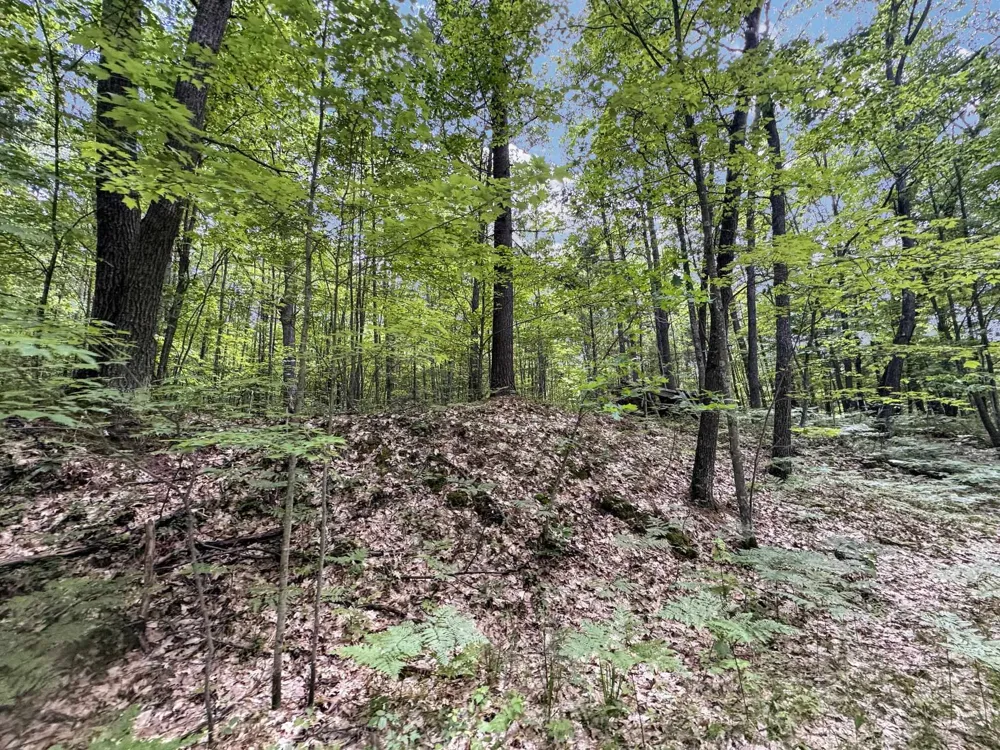 Seeley Road Lake Township, MI 49651