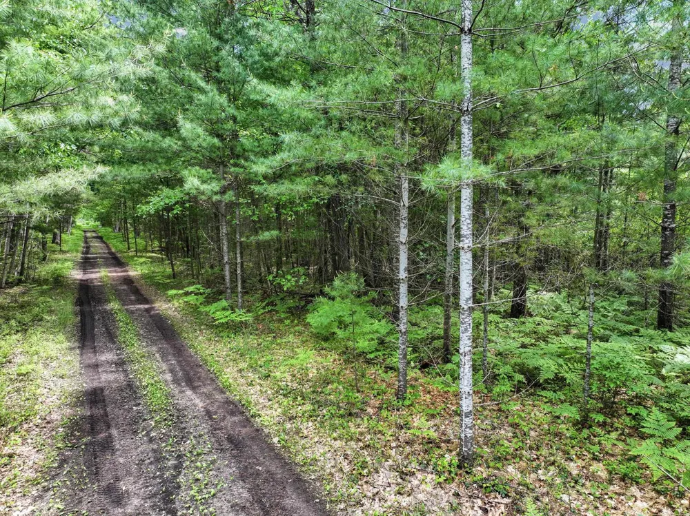 Seeley Road Lake Township, MI 49651