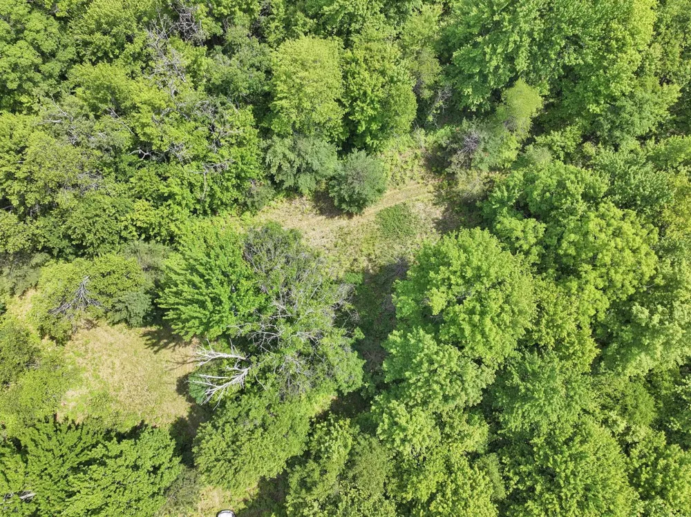 Seeley Road Lake Township, MI 49651
