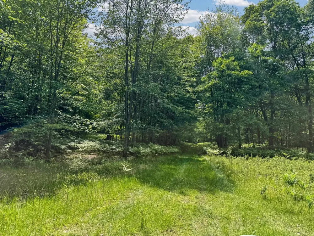 Seeley Road Lake Township, MI 49651
