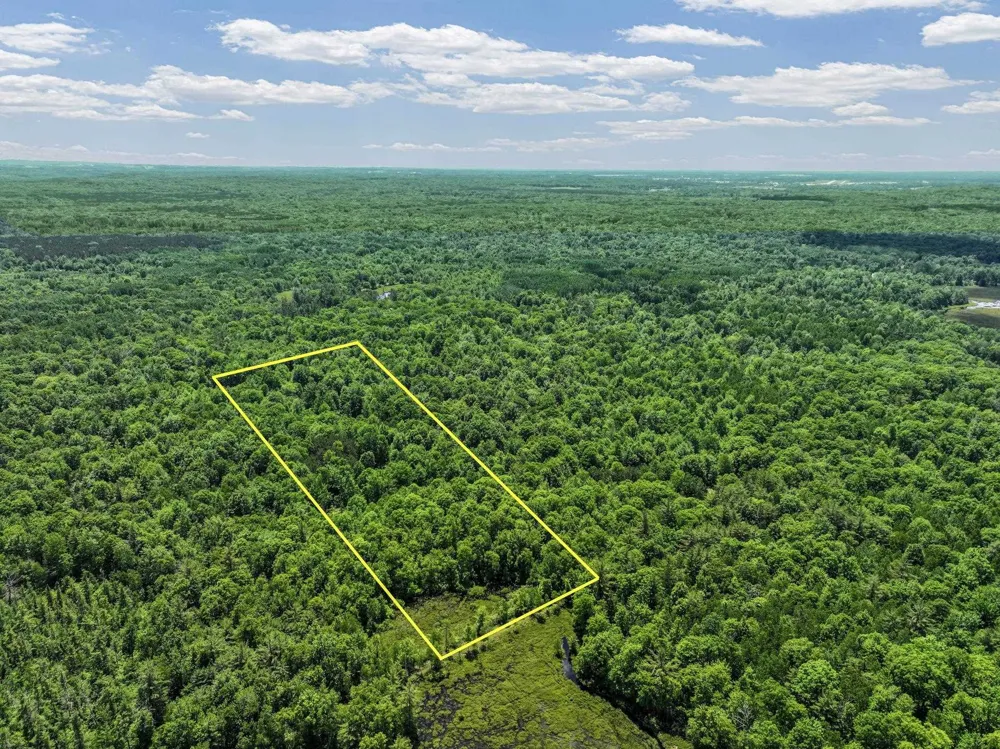Seeley Road Lake Township, MI 49651