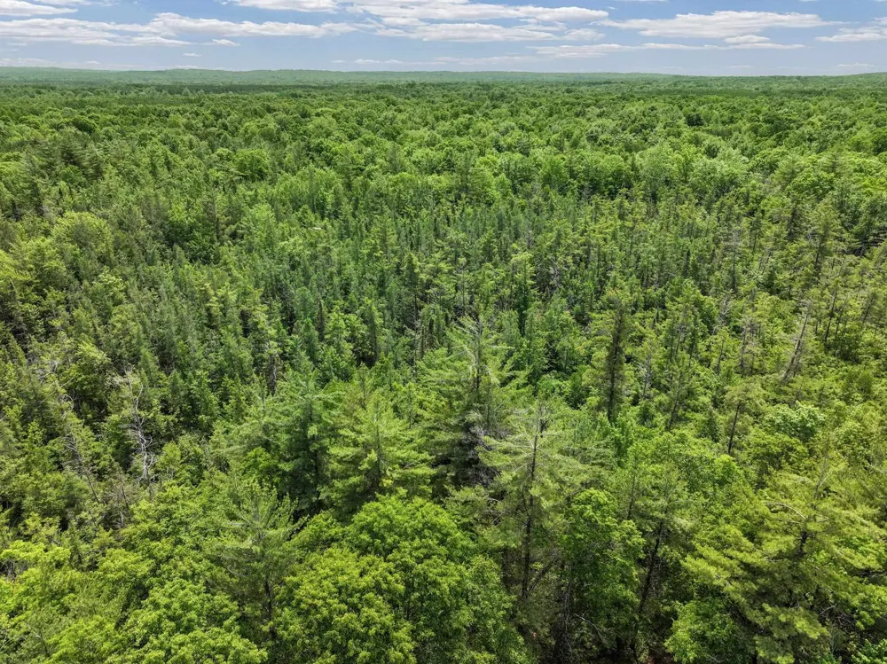 Seeley Road Lake Township, MI 49651