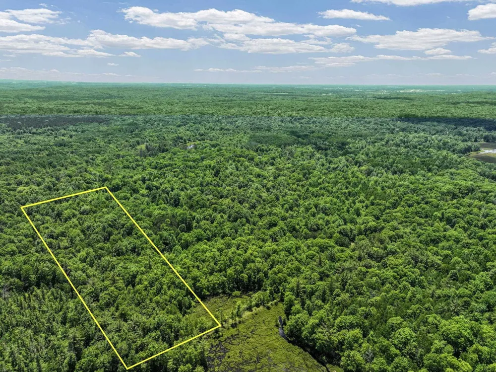 Seeley Road Lake Township, MI 49651