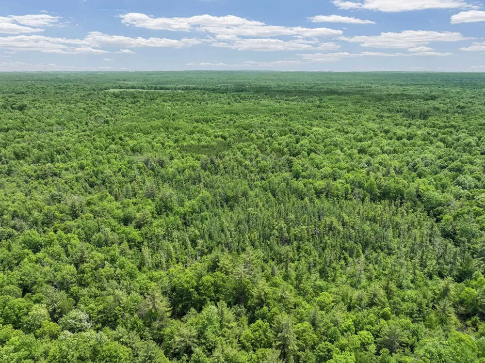 Seeley Road Lake Township, MI 49651