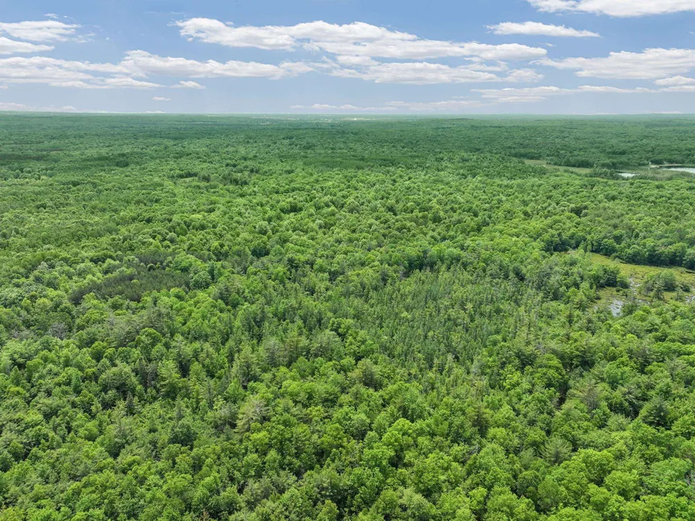 Seeley Road Lake Township, MI 49651