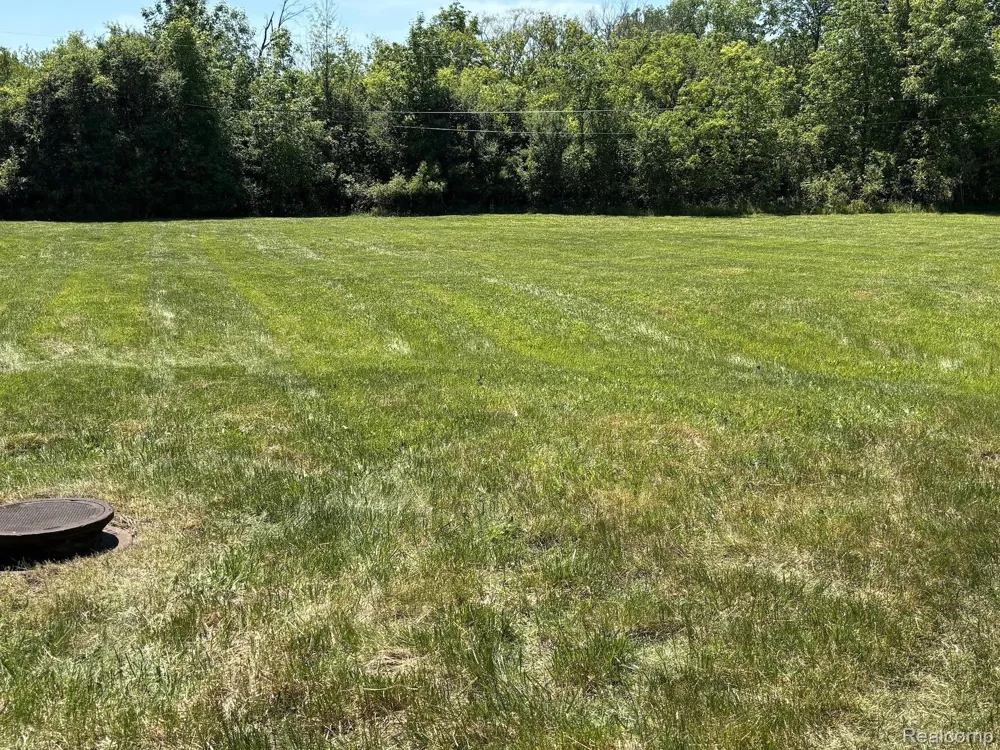 4500 S Michelle Street Buena Vista Charter Township, MI 48601