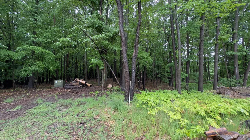 2608 E Sutton Road Metamora Township, MI 48455