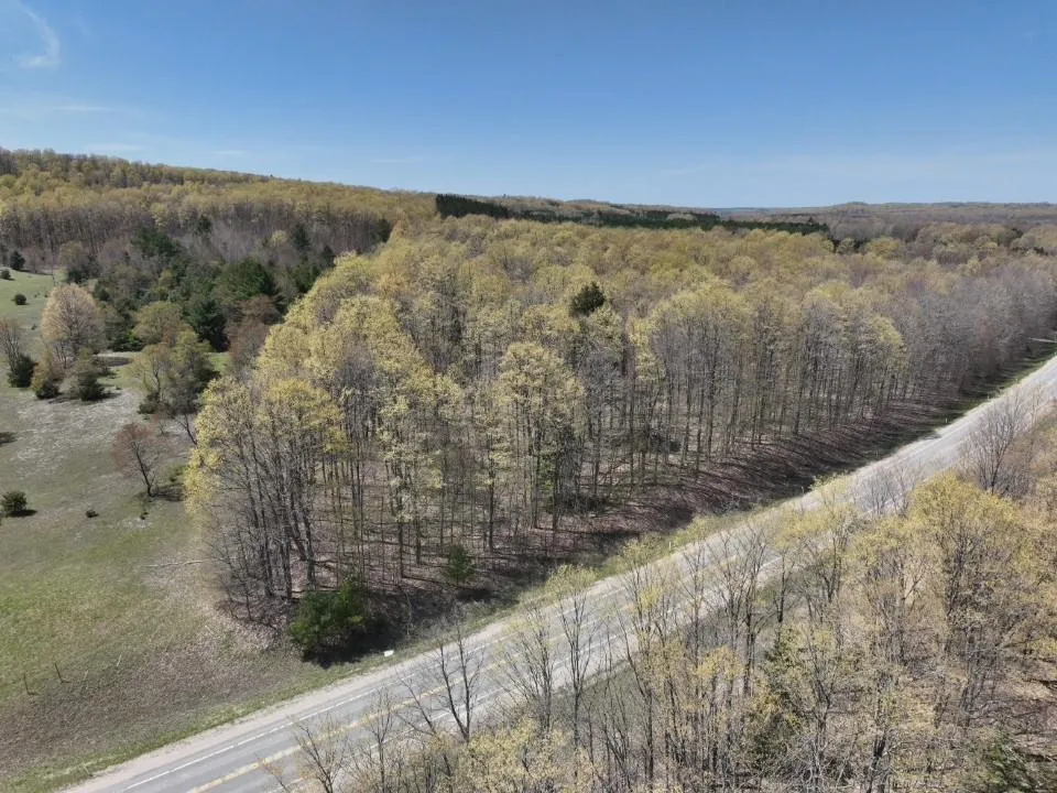 S M-66 Chestonia Township, MI 49659