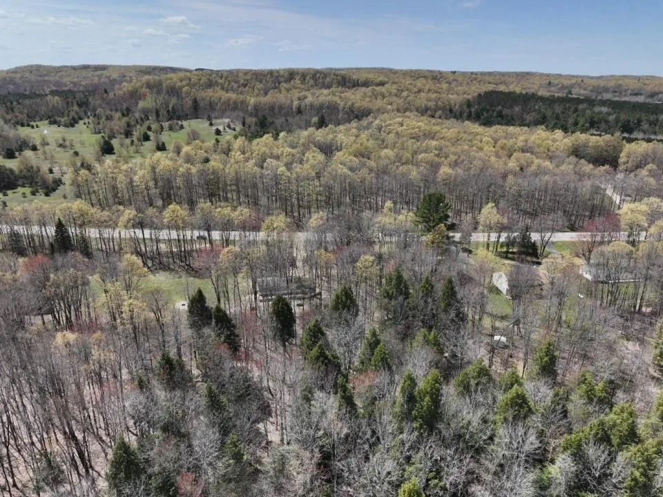 S M-66 Chestonia Township, MI 49659