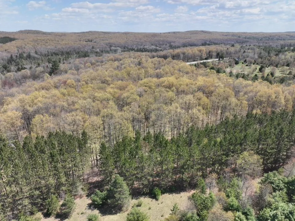 S M-66 Chestonia Township, MI 49659