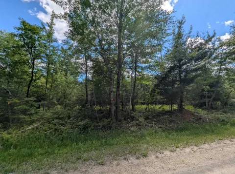 Bordeau Road