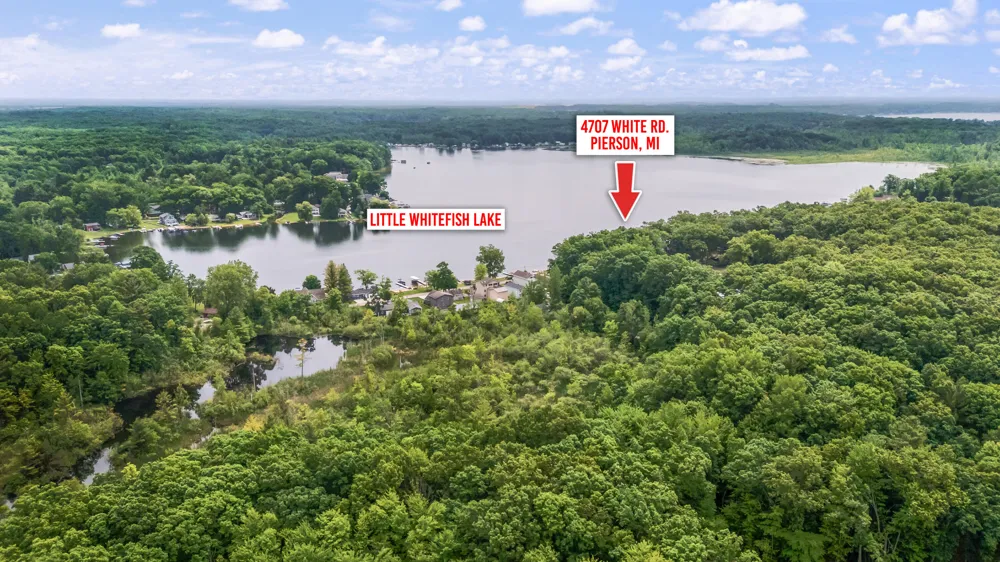 4707 White Pierson Township, MI 49339
